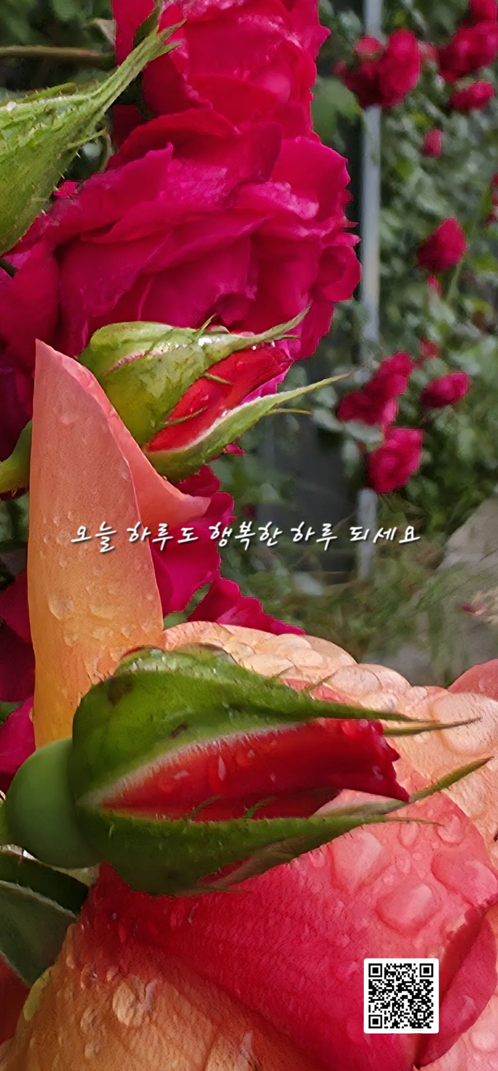 믿음 이미지