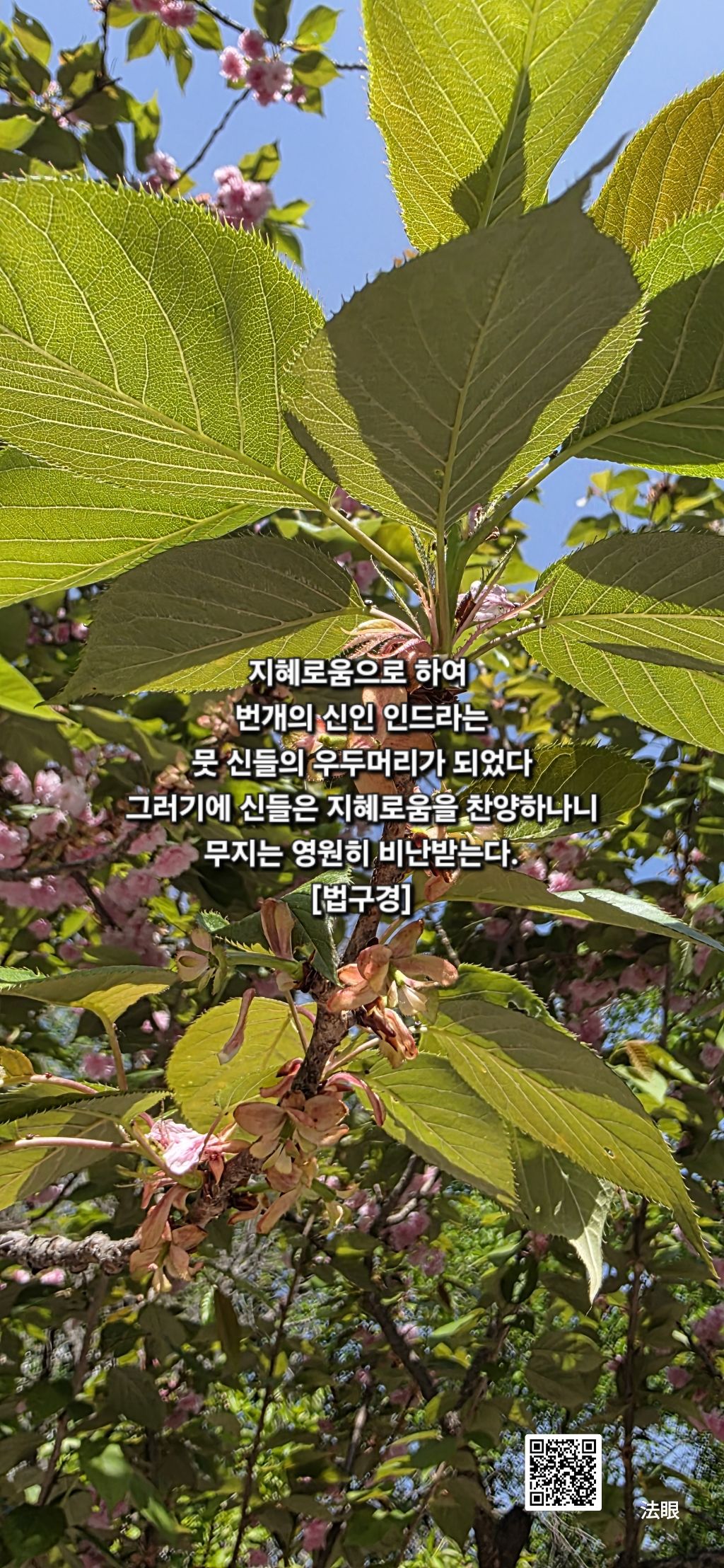 지혜로움 이미지