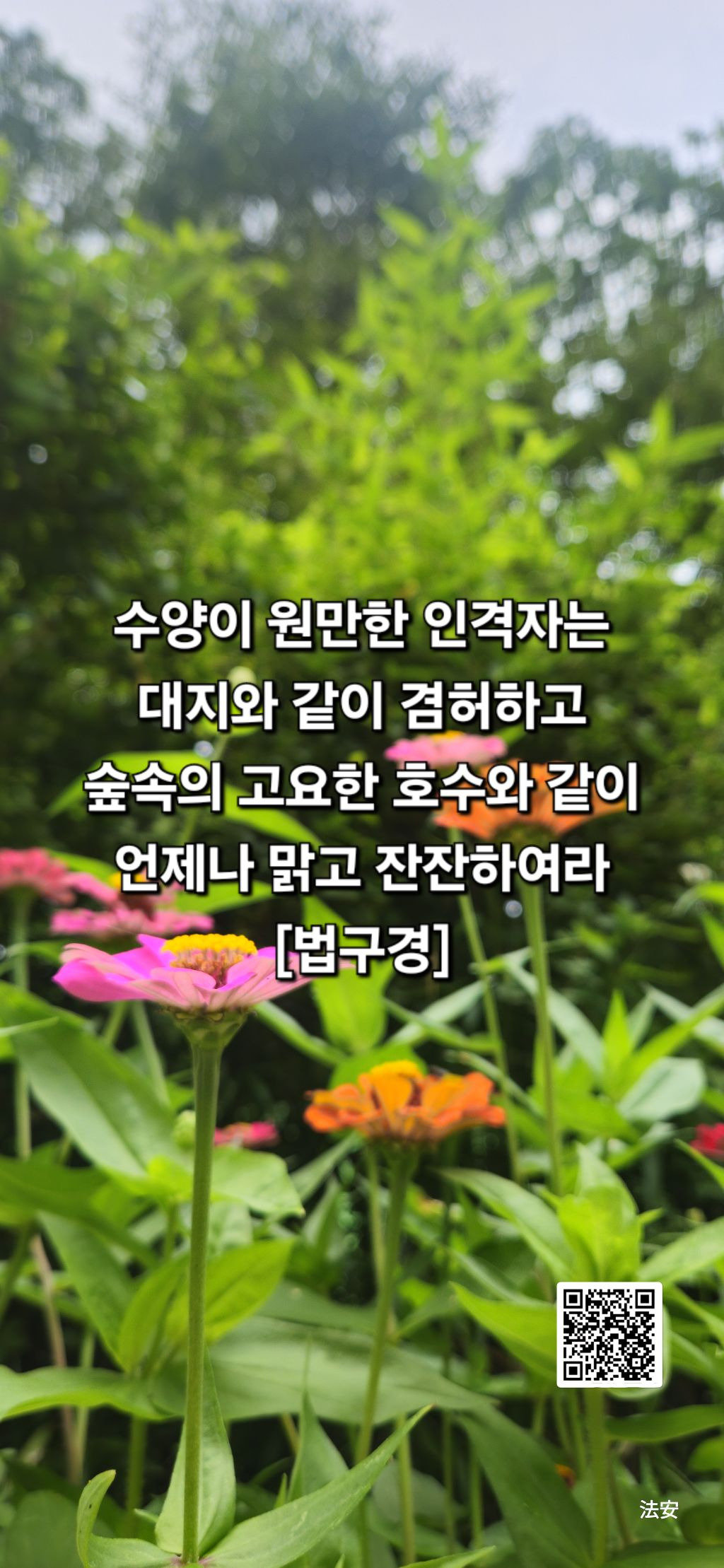 수양 이미지