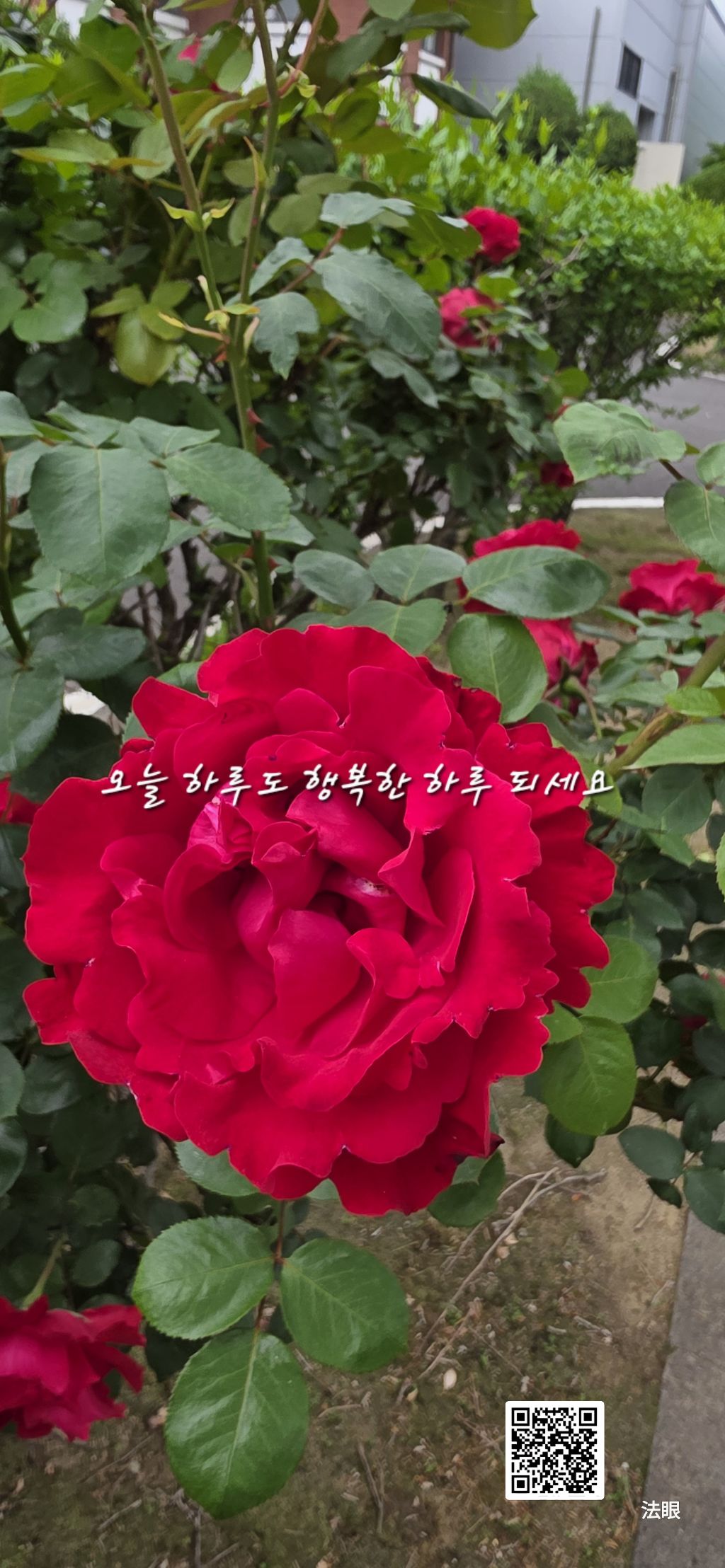 가운데 이미지