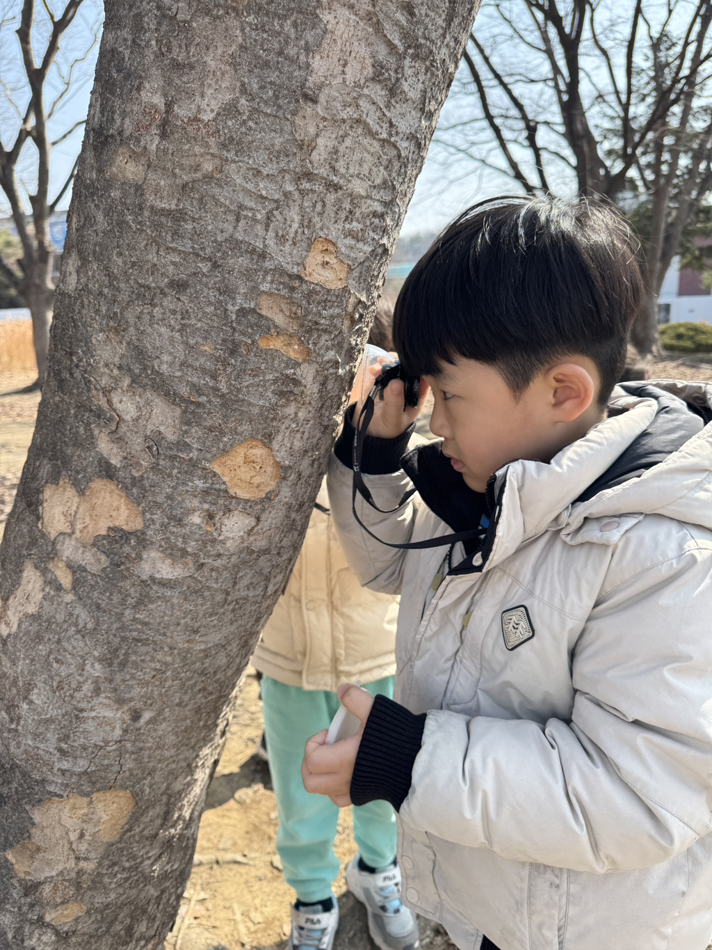 느티숲 이미지