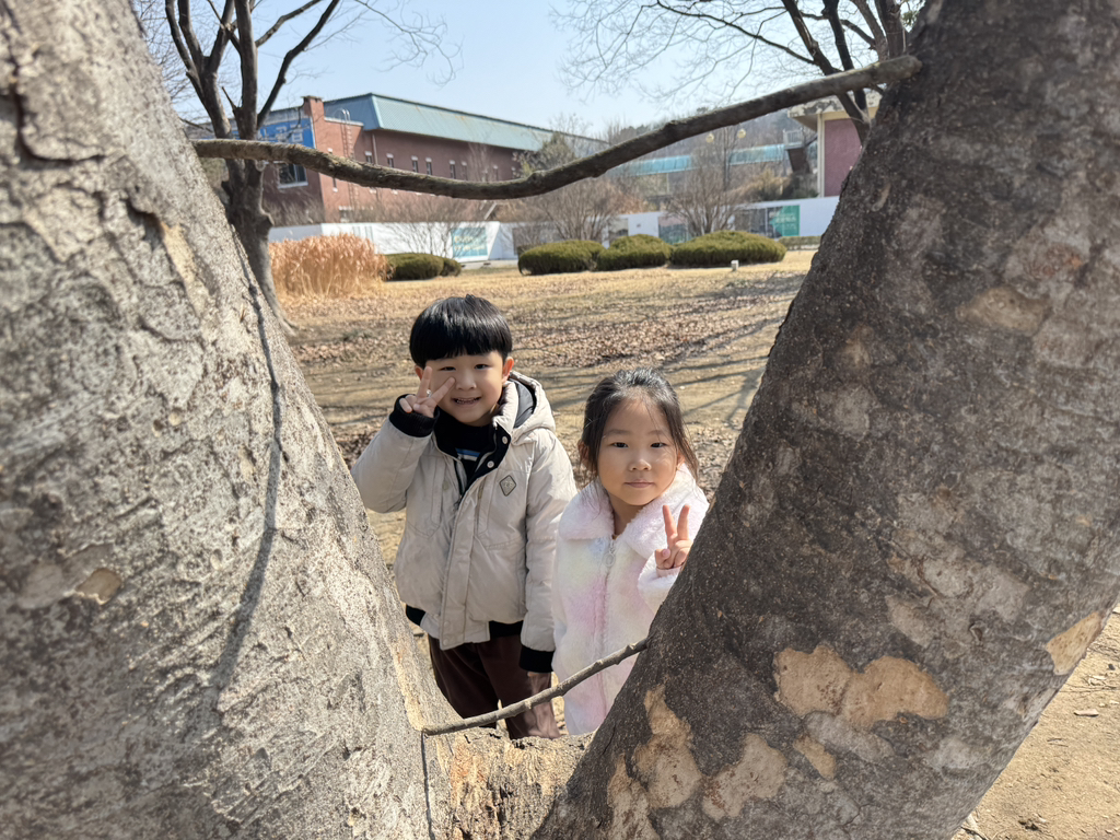 느티숲 이미지