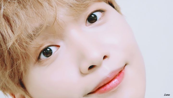 공프로 이미지