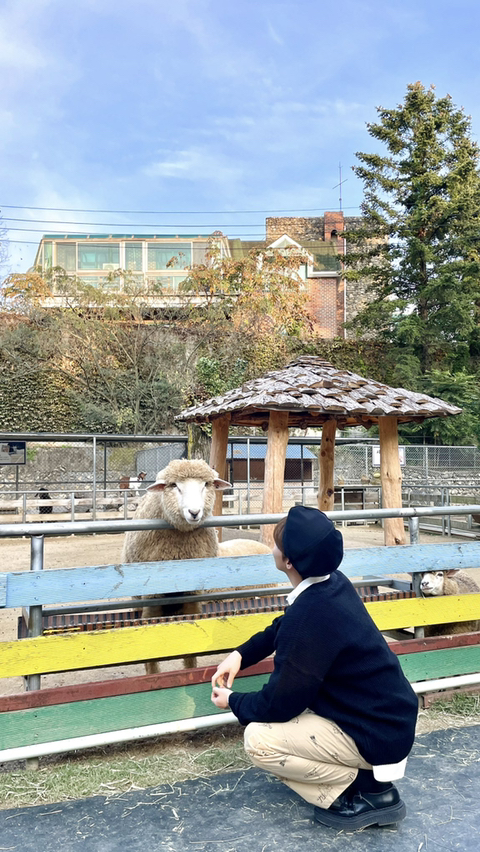 센시 이미지