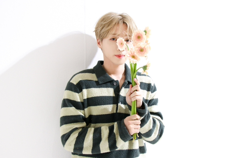 공프로 이미지