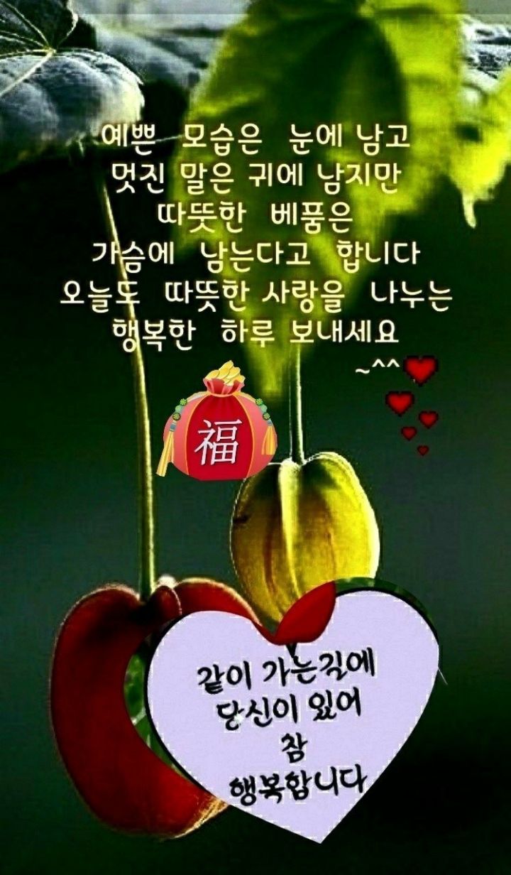 행복한하루 이미지