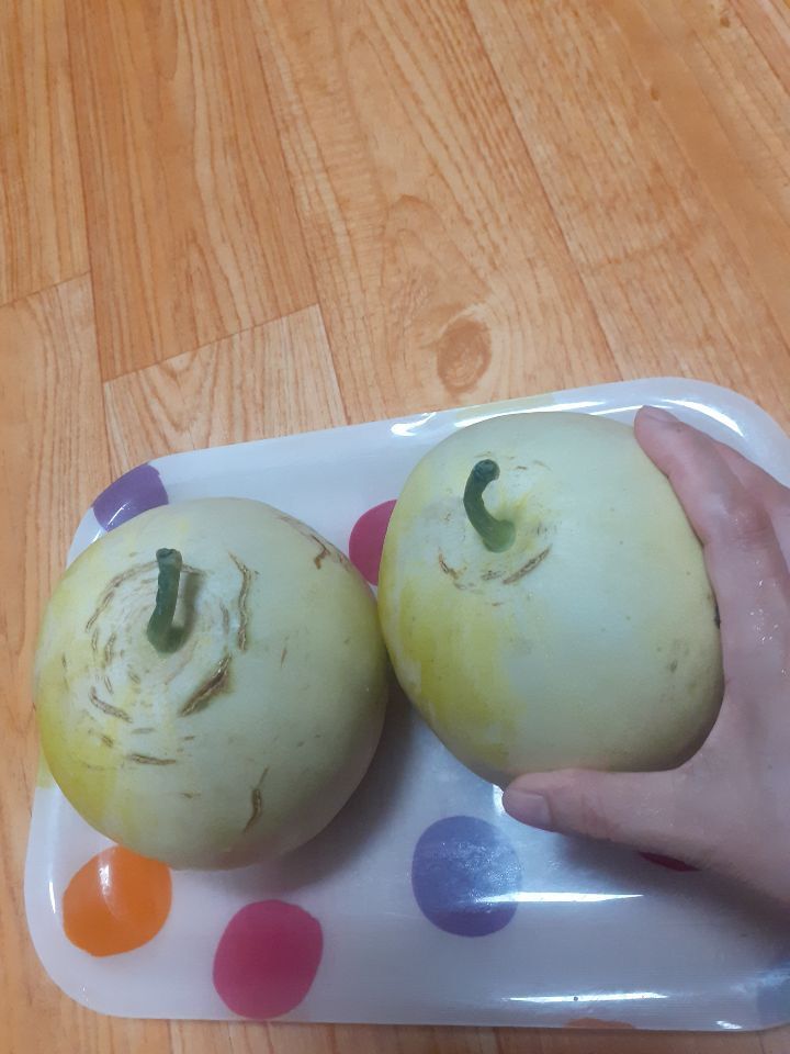 텃밭마트 이미지