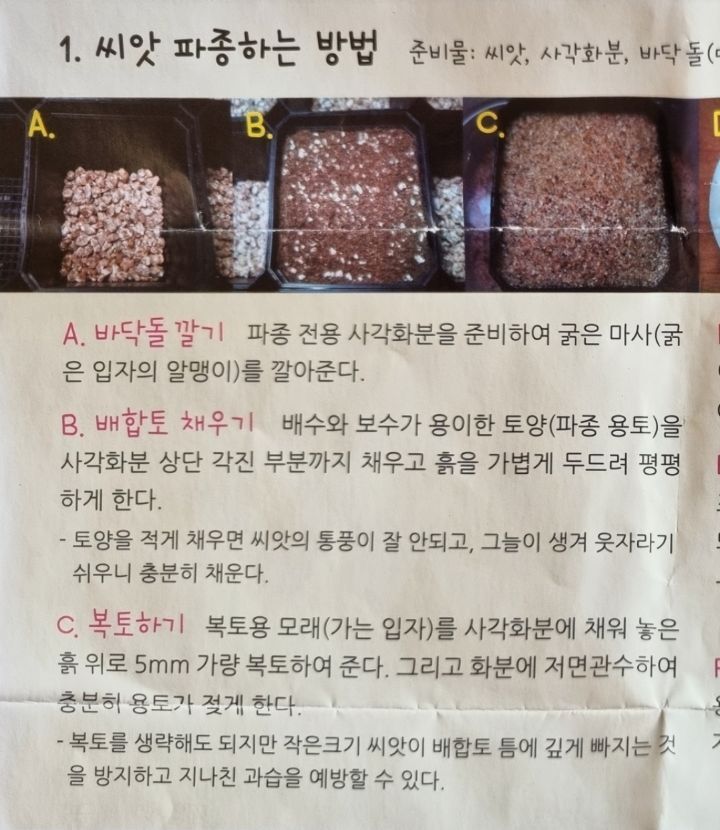 코노 이미지