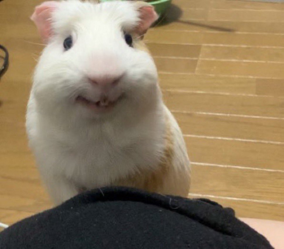 선우컴 이미지