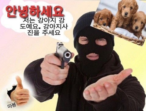 오늘은핫도그 이미지