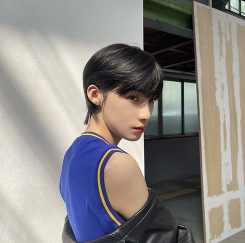 차니차니 이미지