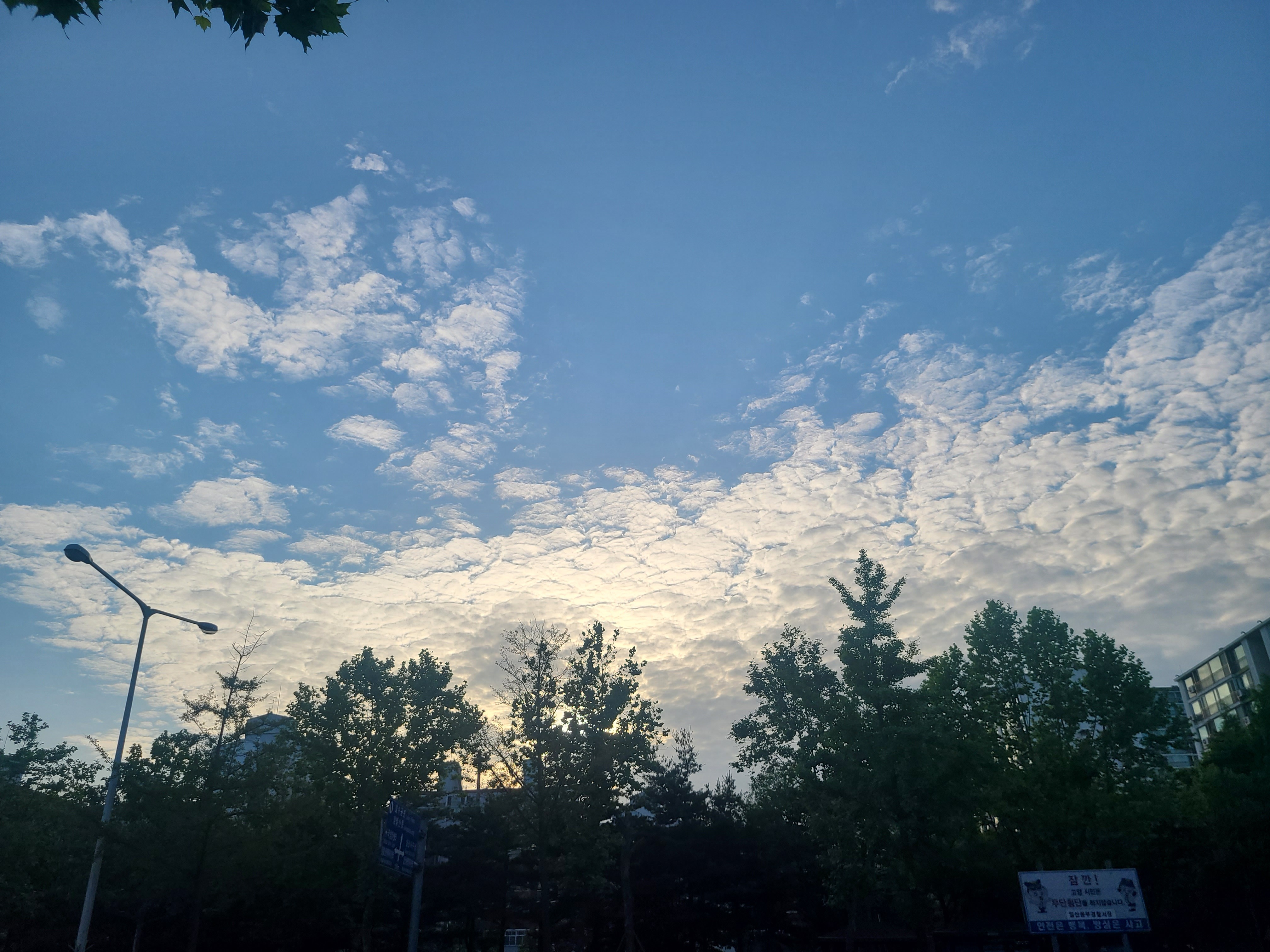 선우컴 이미지
