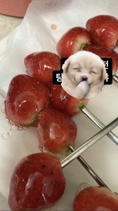 빵티시에 이미지