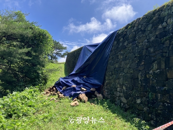 마로 이미지