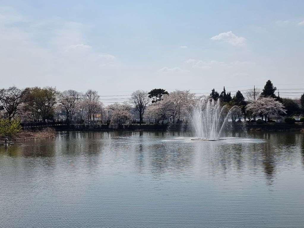 수양 이미지