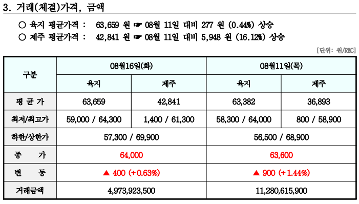 비앤지컨설팅 이미지