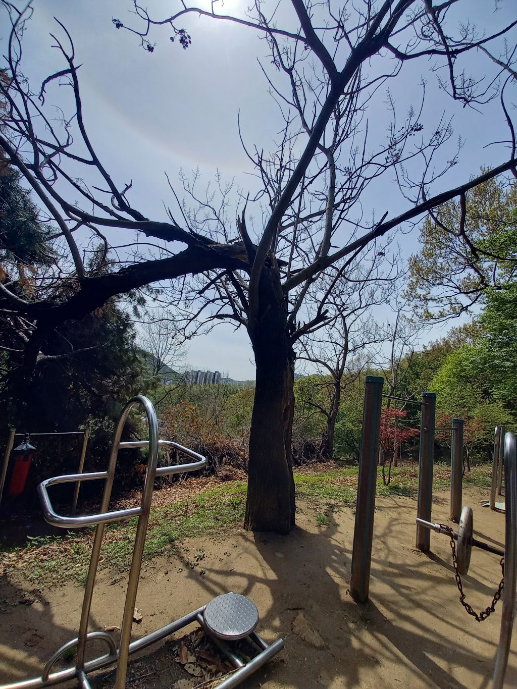 별다섯 이미지
