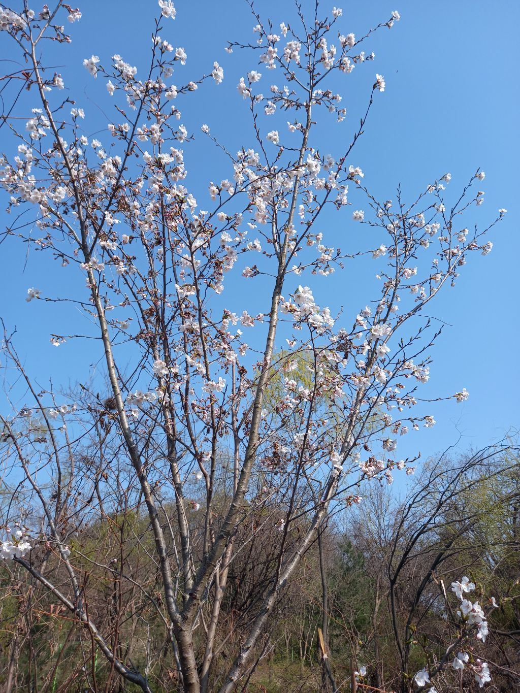 가학산 정상 전망대 이미지