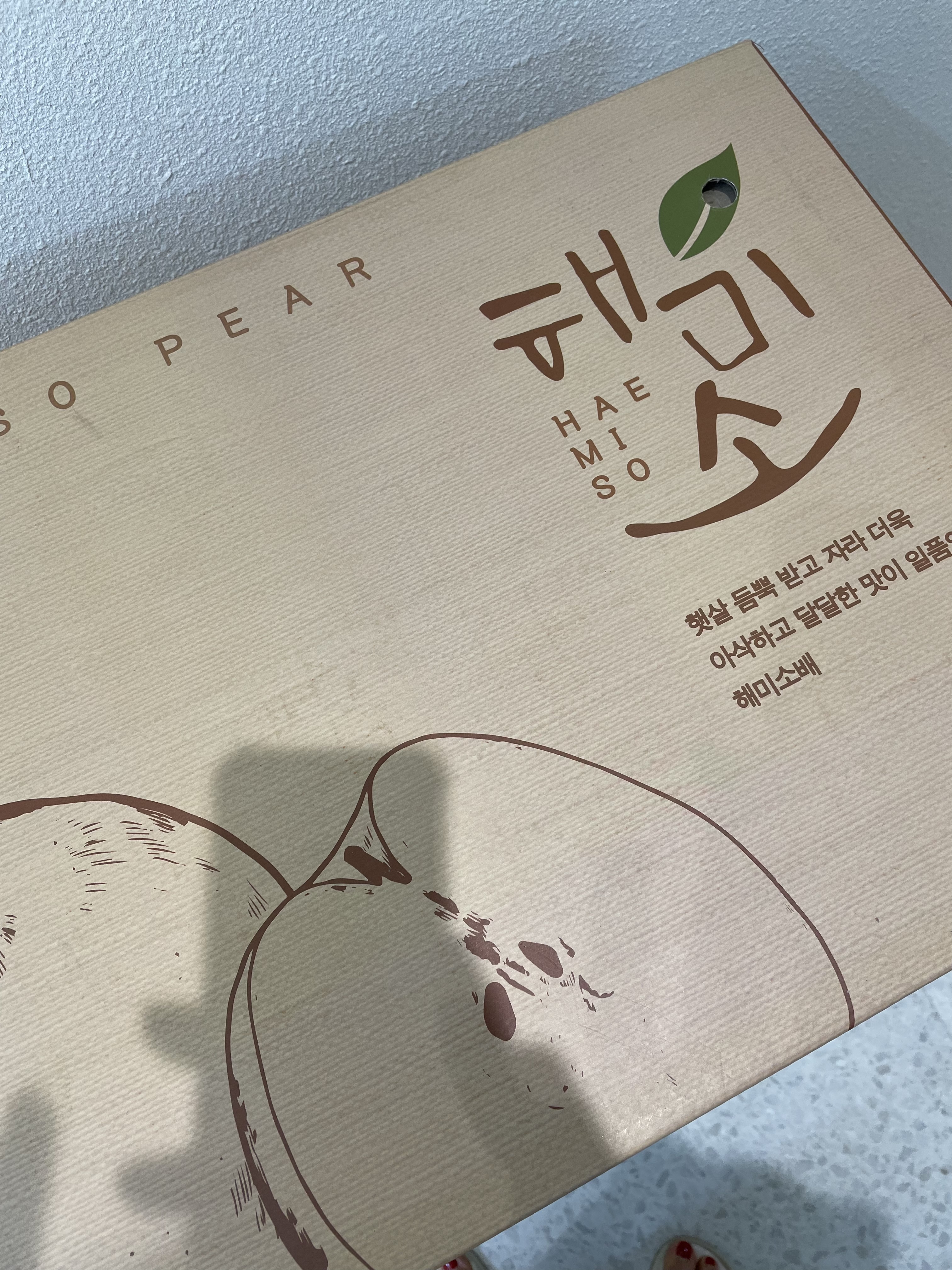 과일점 이미지