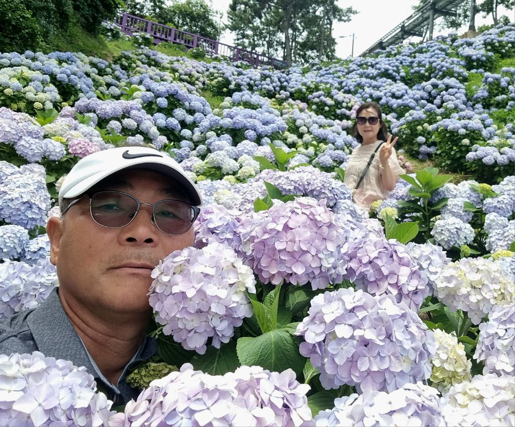 금빛고래 이미지