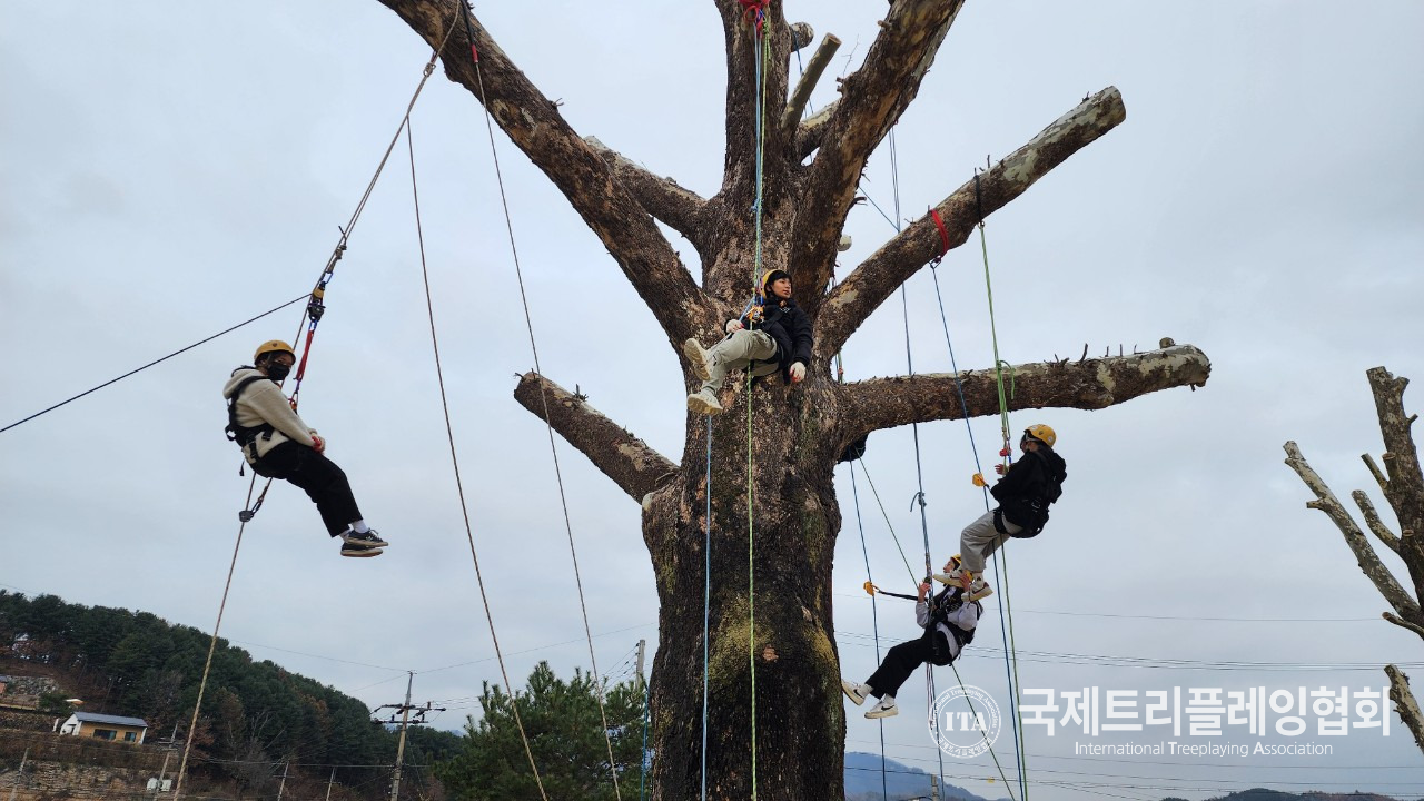 국제트리플레잉협회 이미지