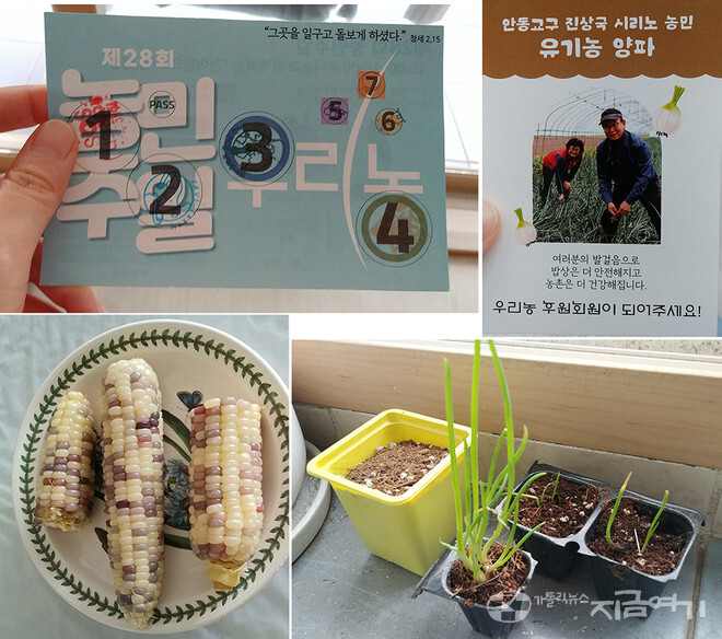 대구우리농 이미지