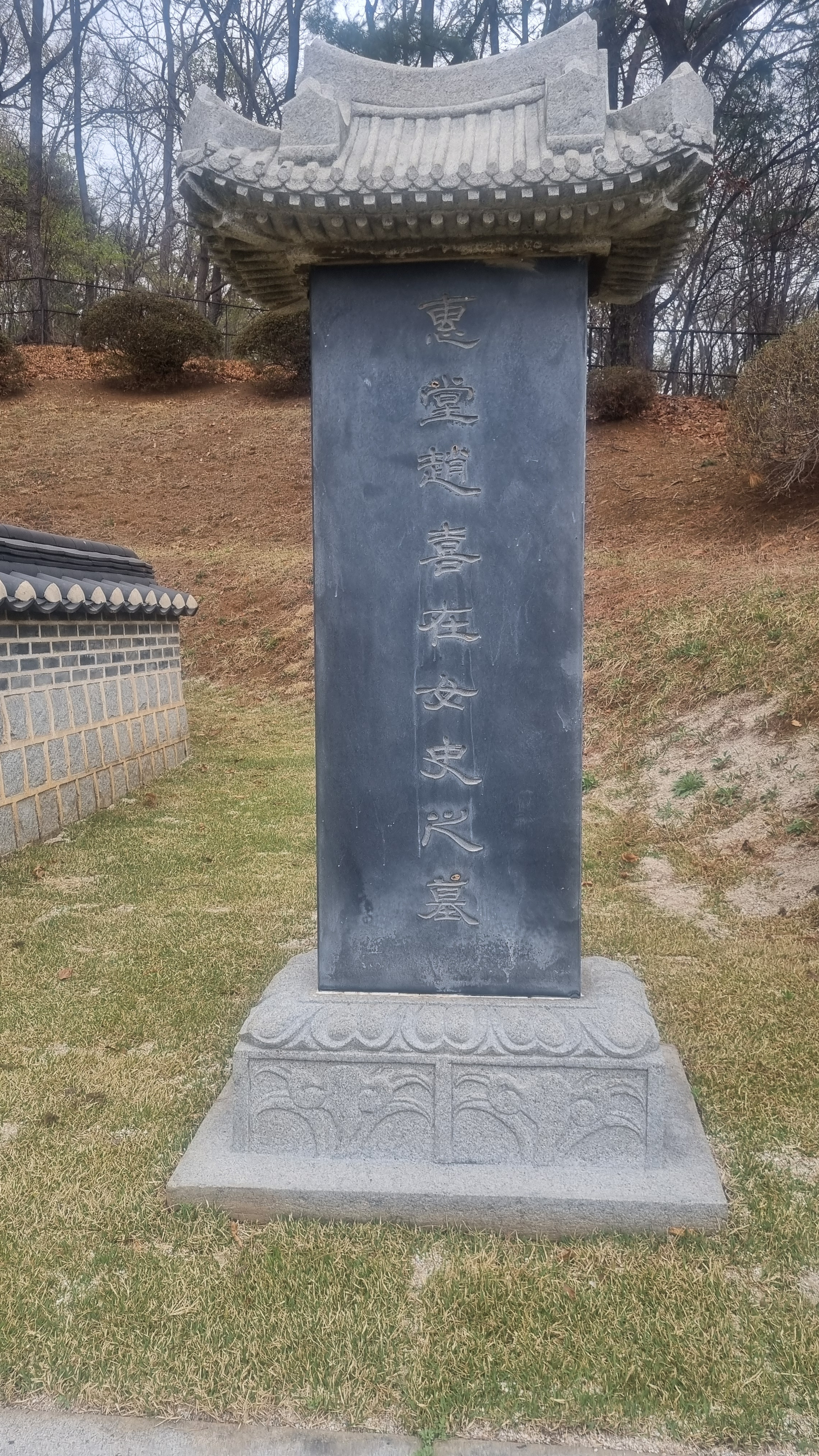 묘 이미지