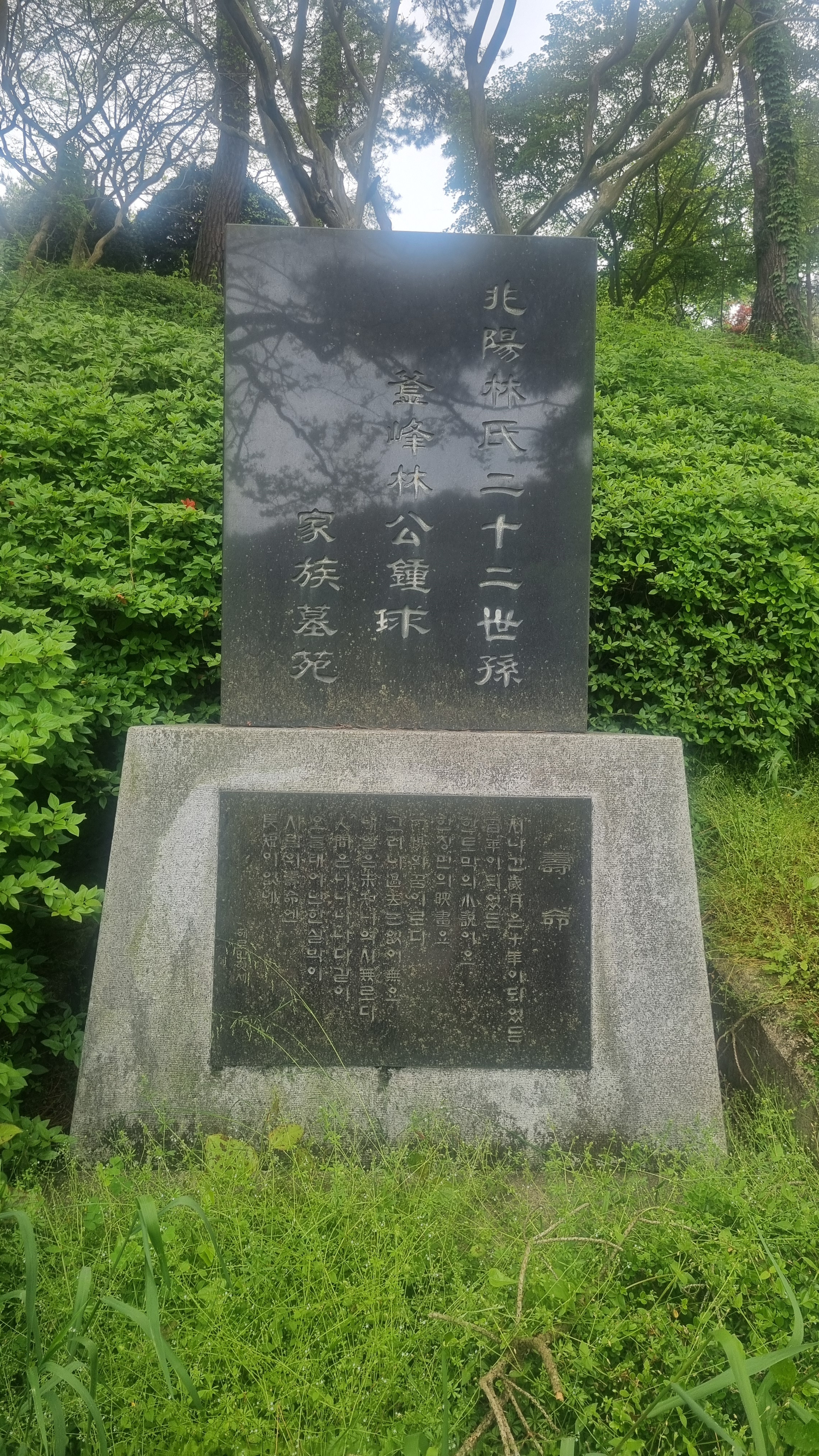 묘 이미지