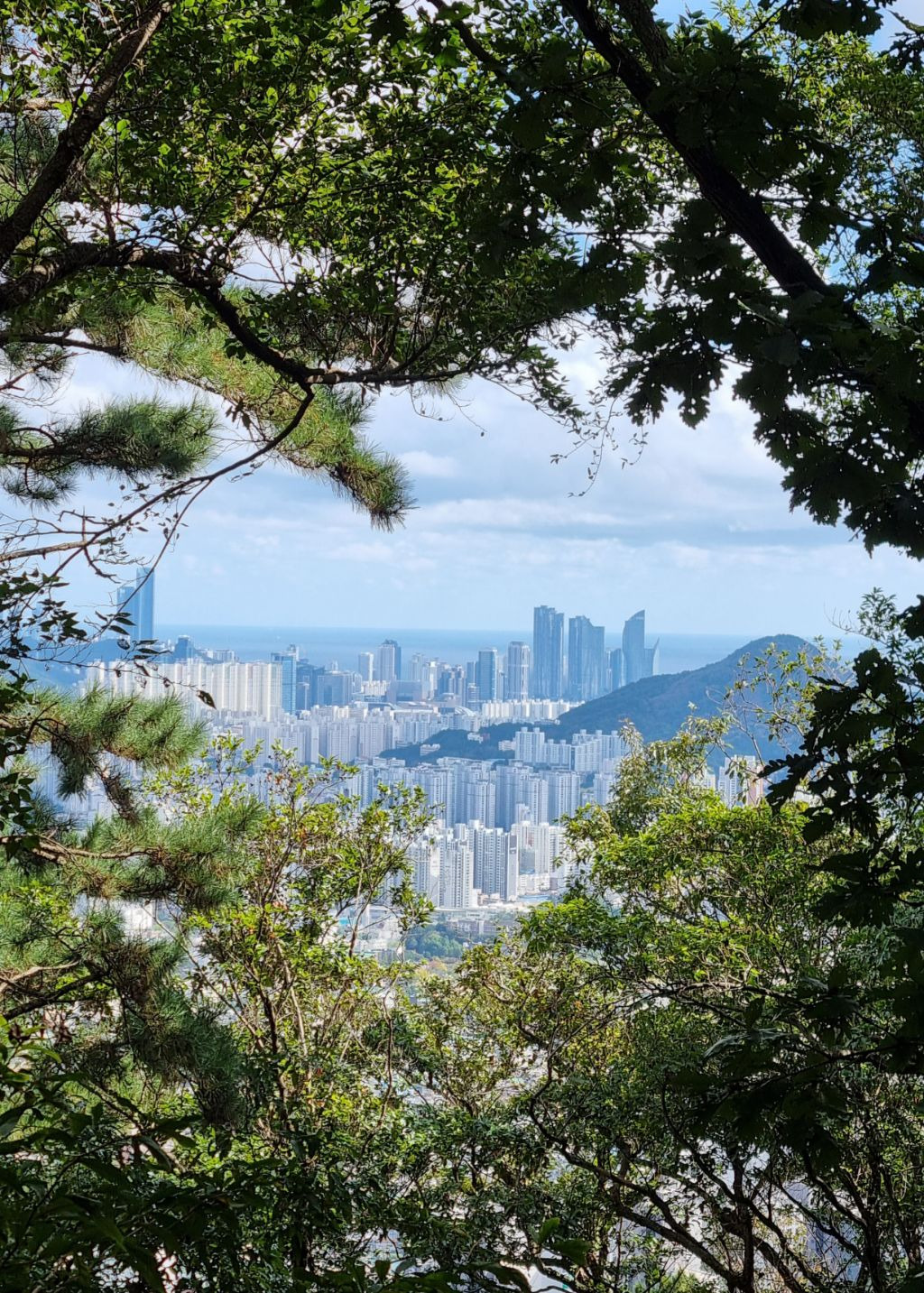 광덕물산 이미지