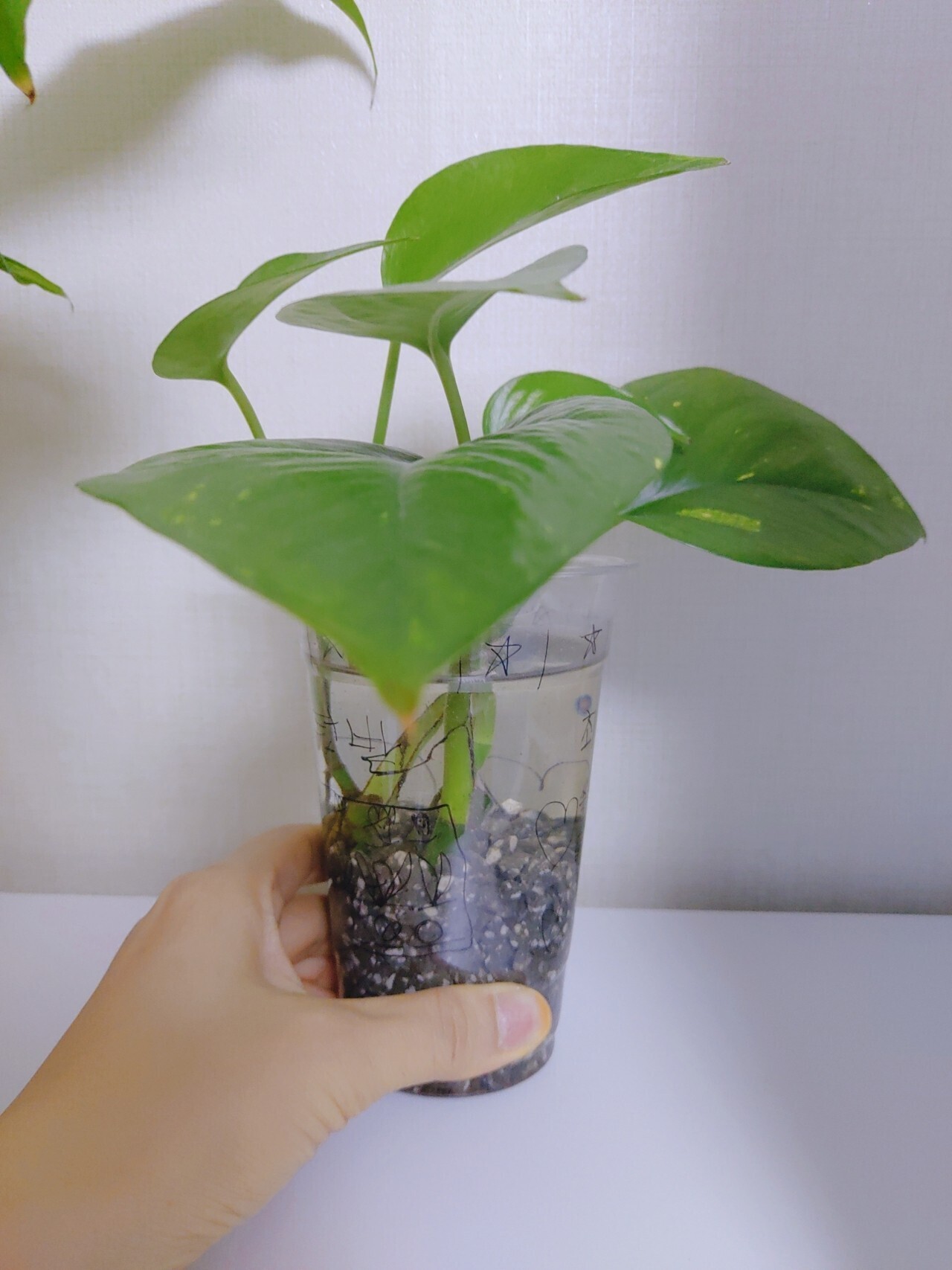 (유)수경 이미지