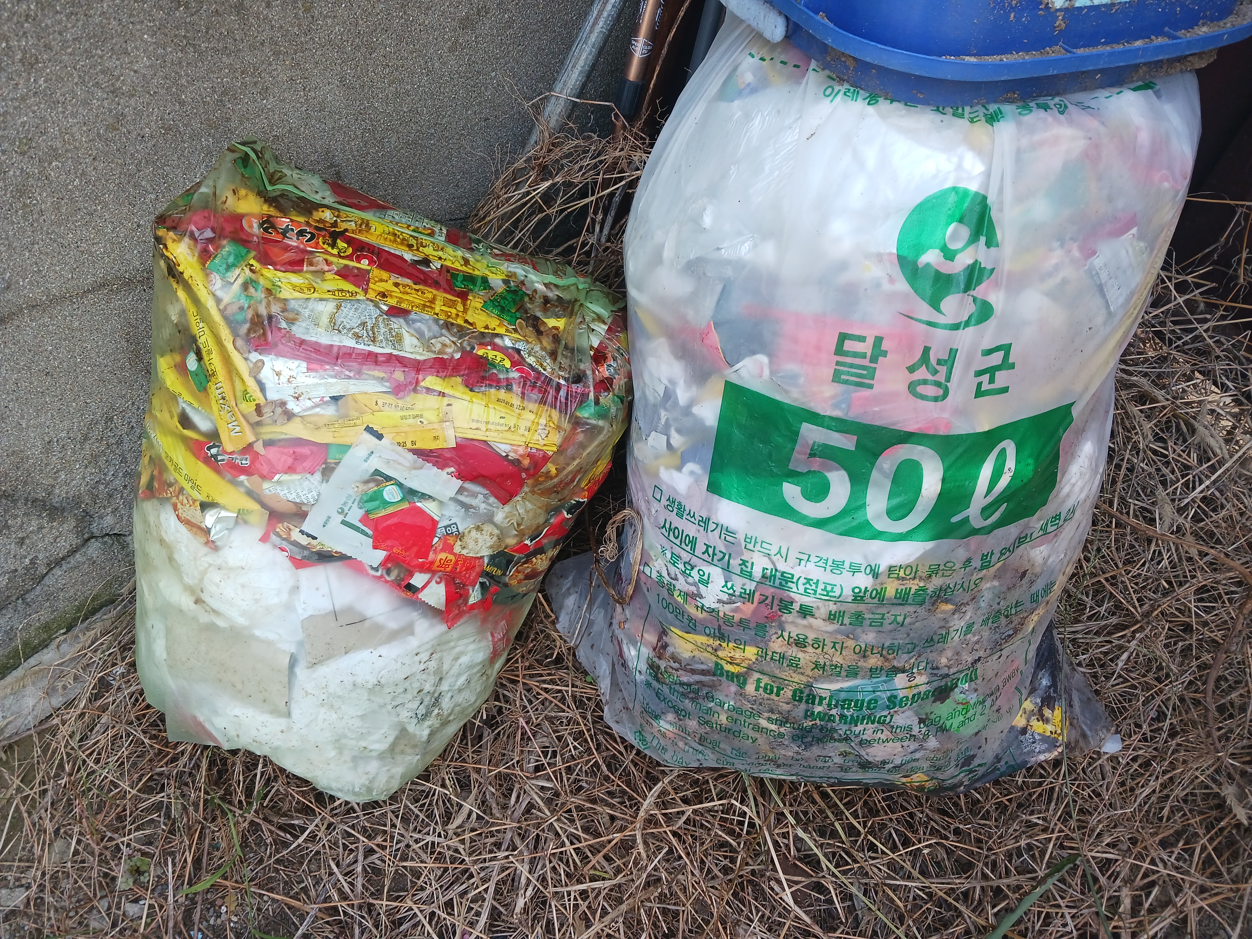진이용소 이미지