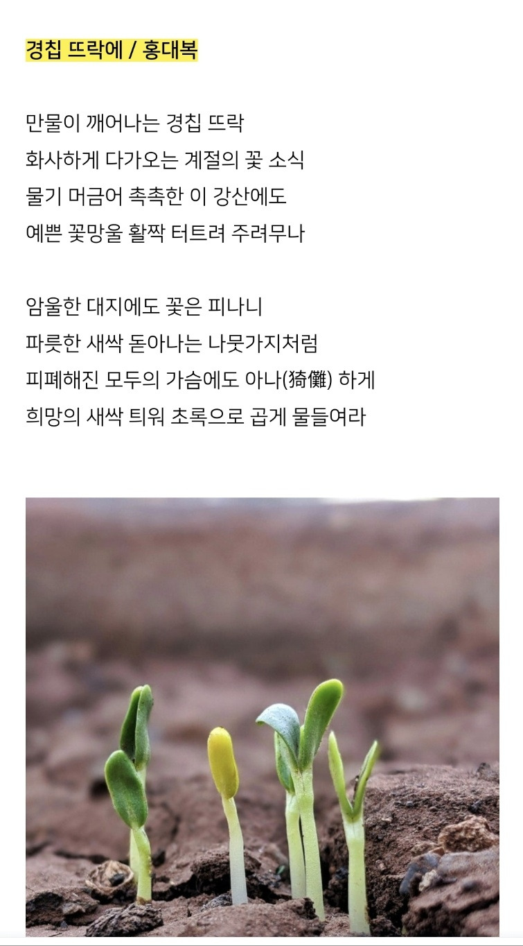 뜨락에 이미지