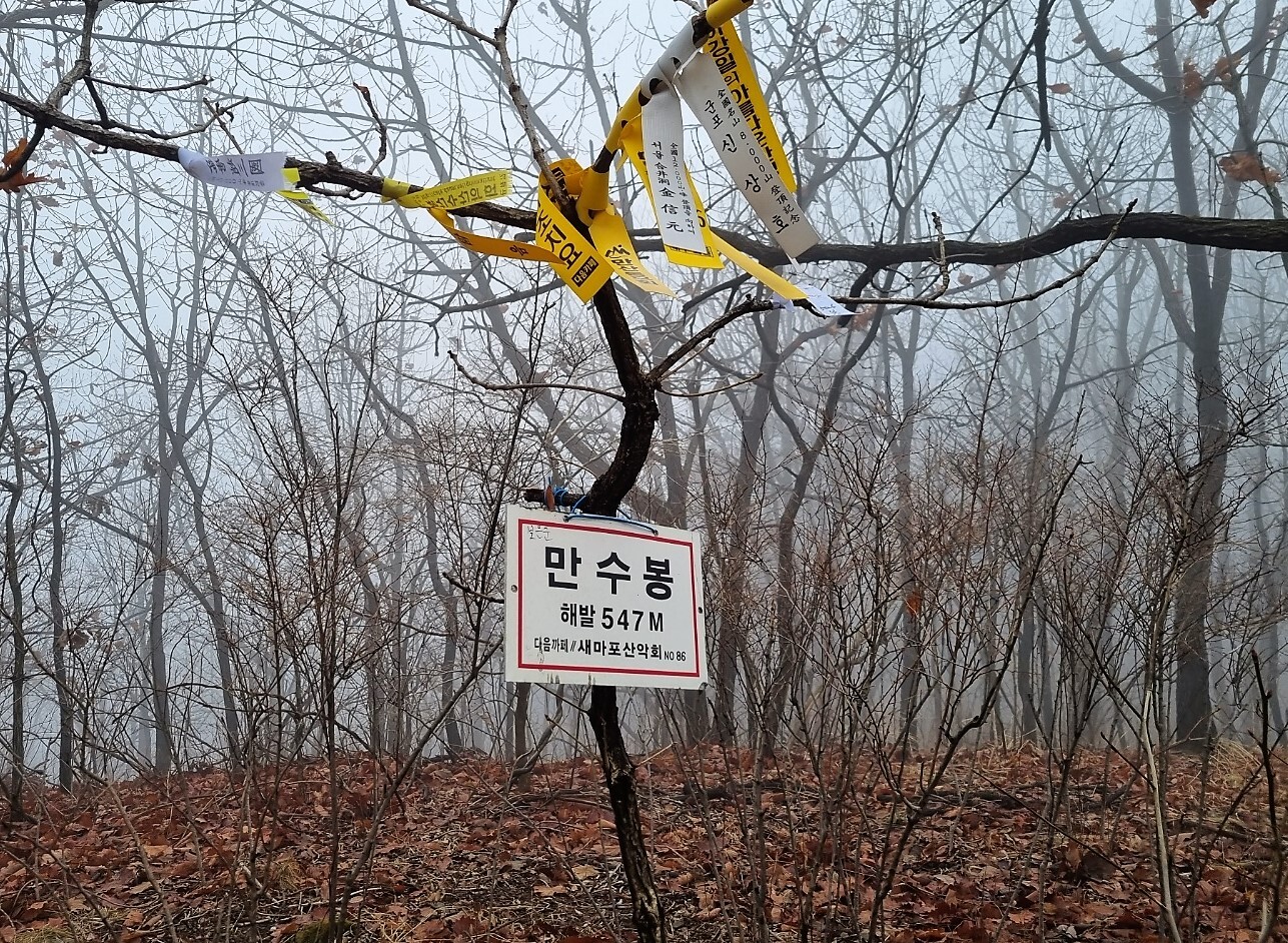 삼승 이미지