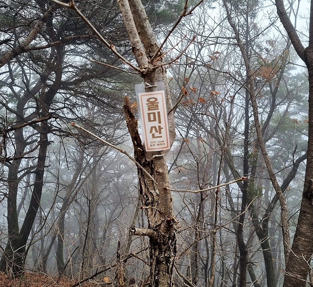 삼승 이미지