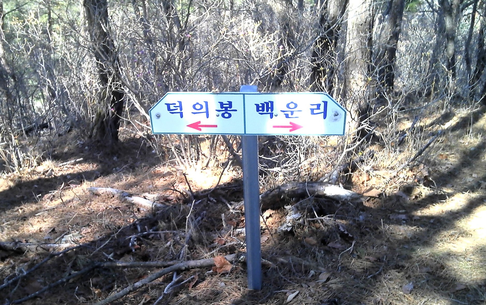 삼승 이미지