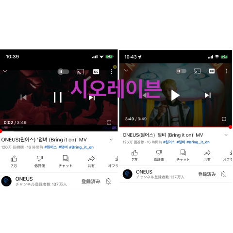 시오레 이미지