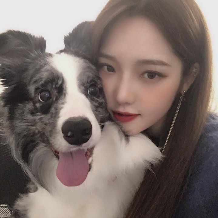 지센 이미지