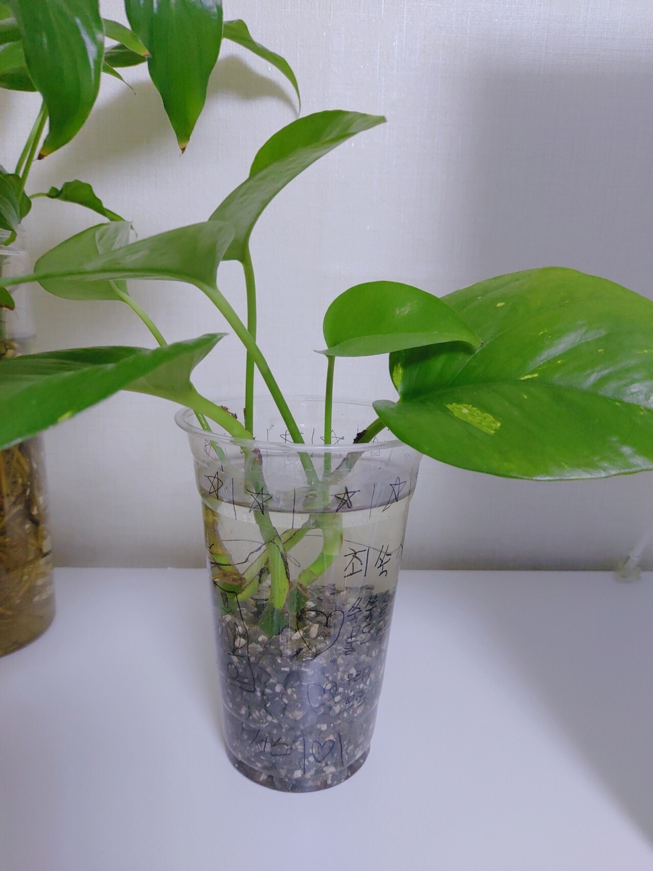 (유)수경 이미지