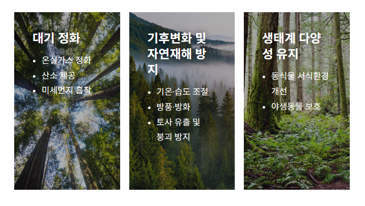 가든프로젝트 이미지