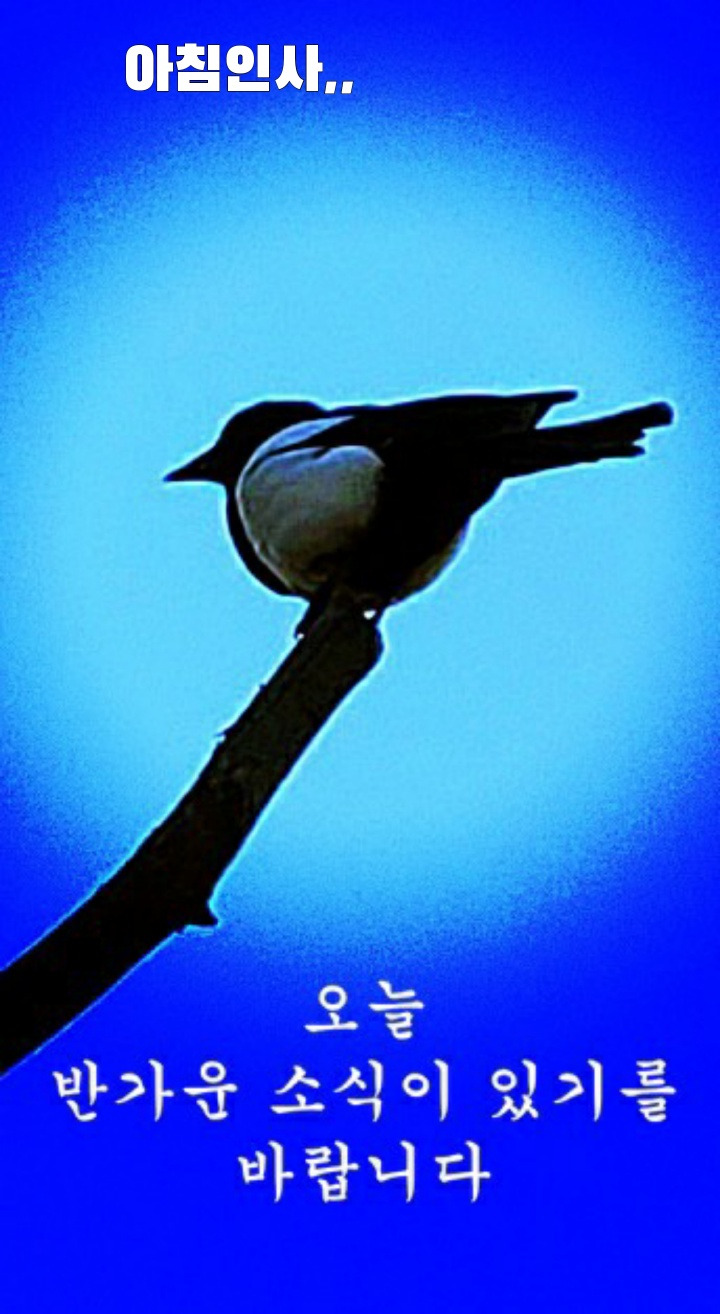 희소식 이미지