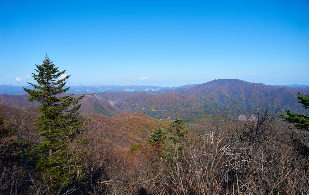 박지산(두타산) 이미지