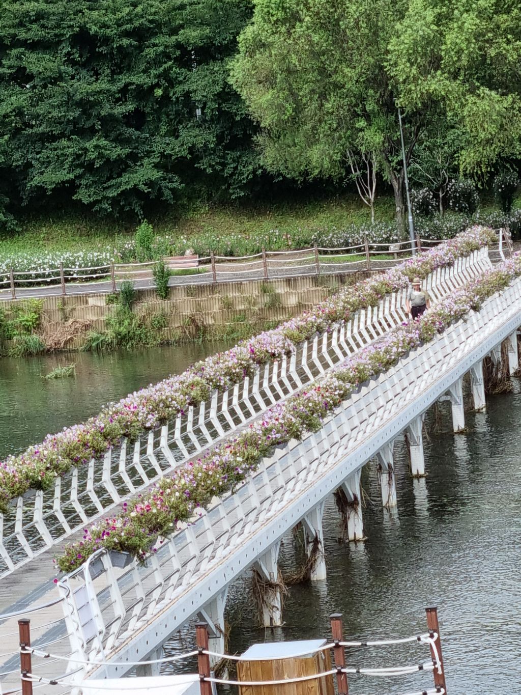 강내과 이미지