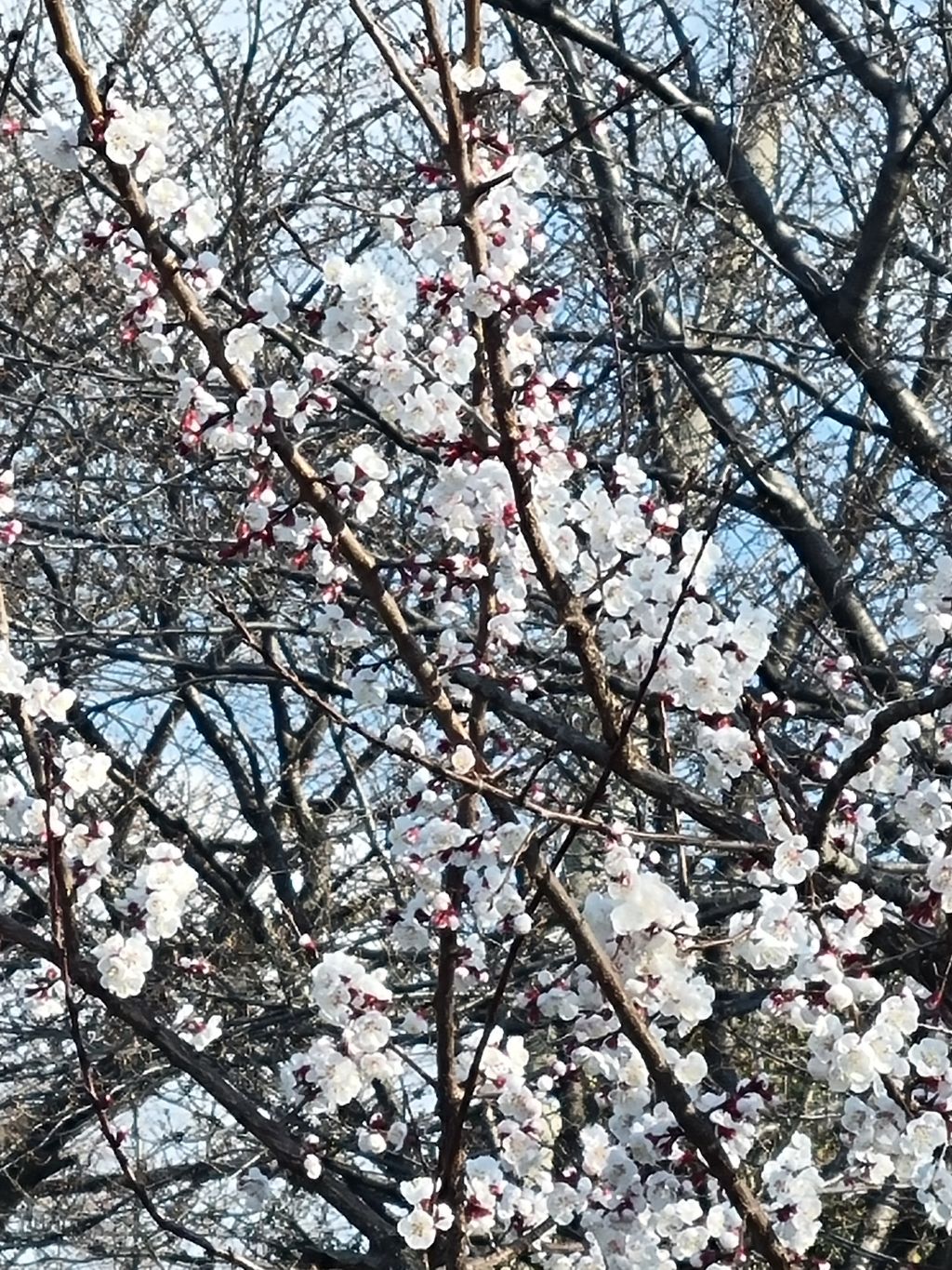 강내과 이미지