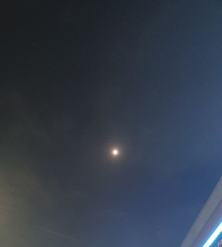 달빛한잔 이미지