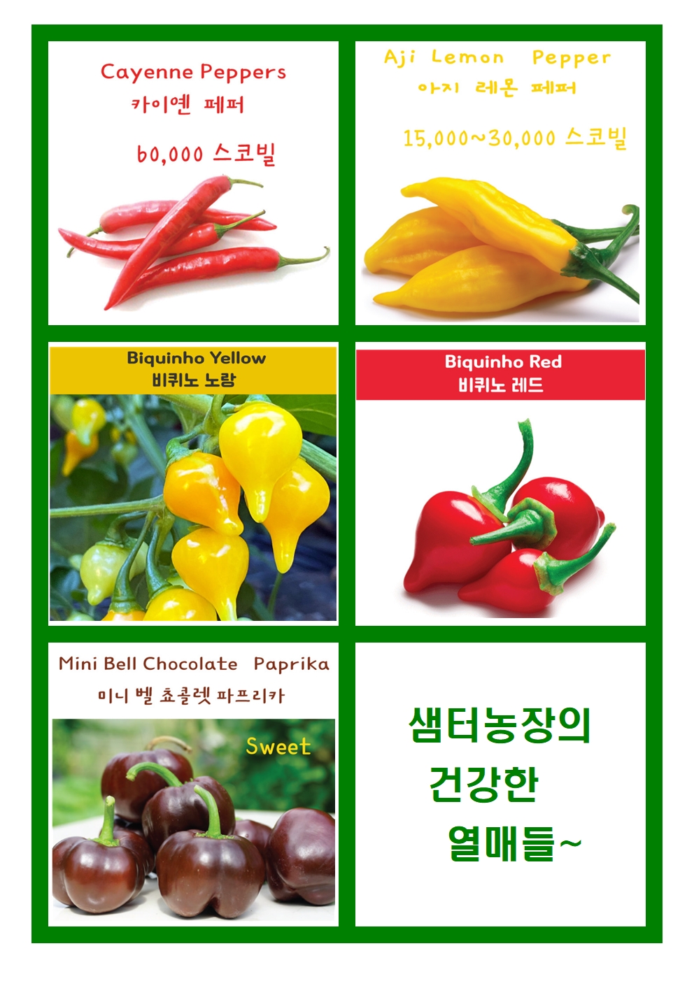 샘터농장 이미지