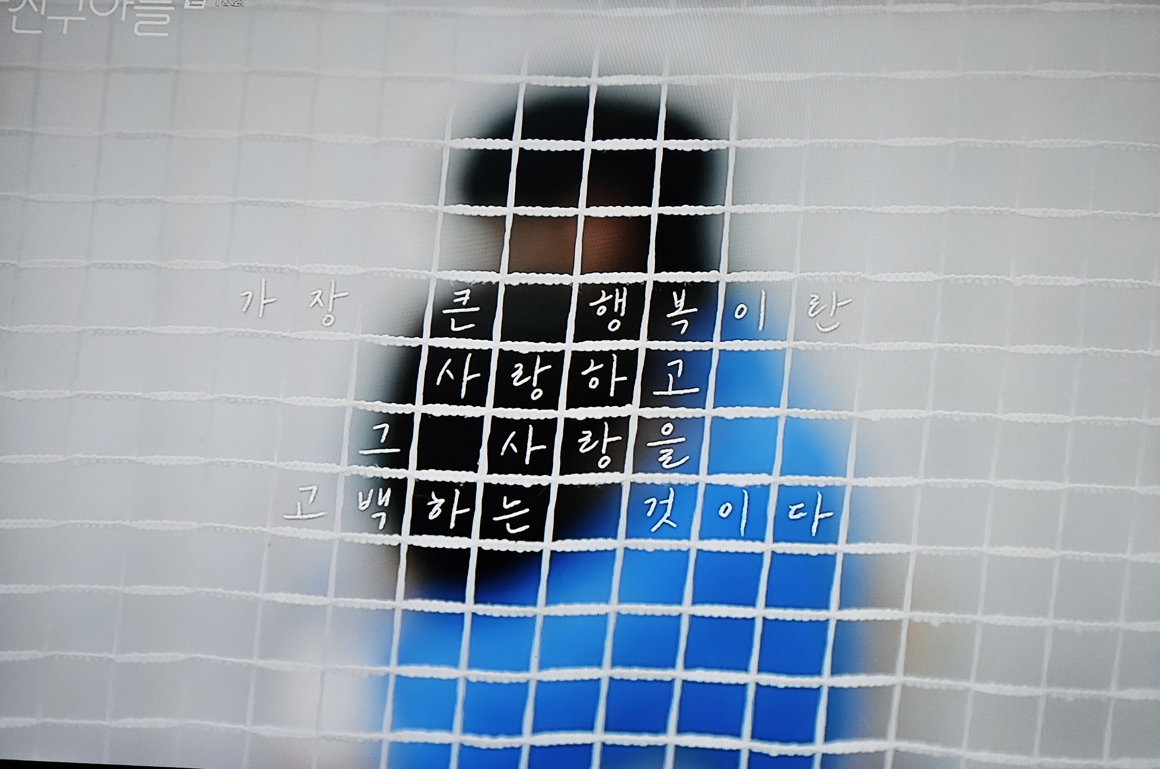 설레네 이미지