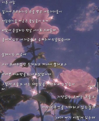 향기머리방 이미지
