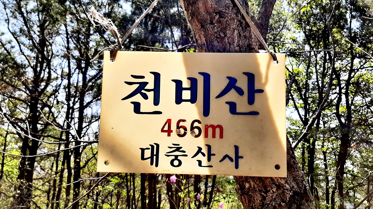 천비산 이미지