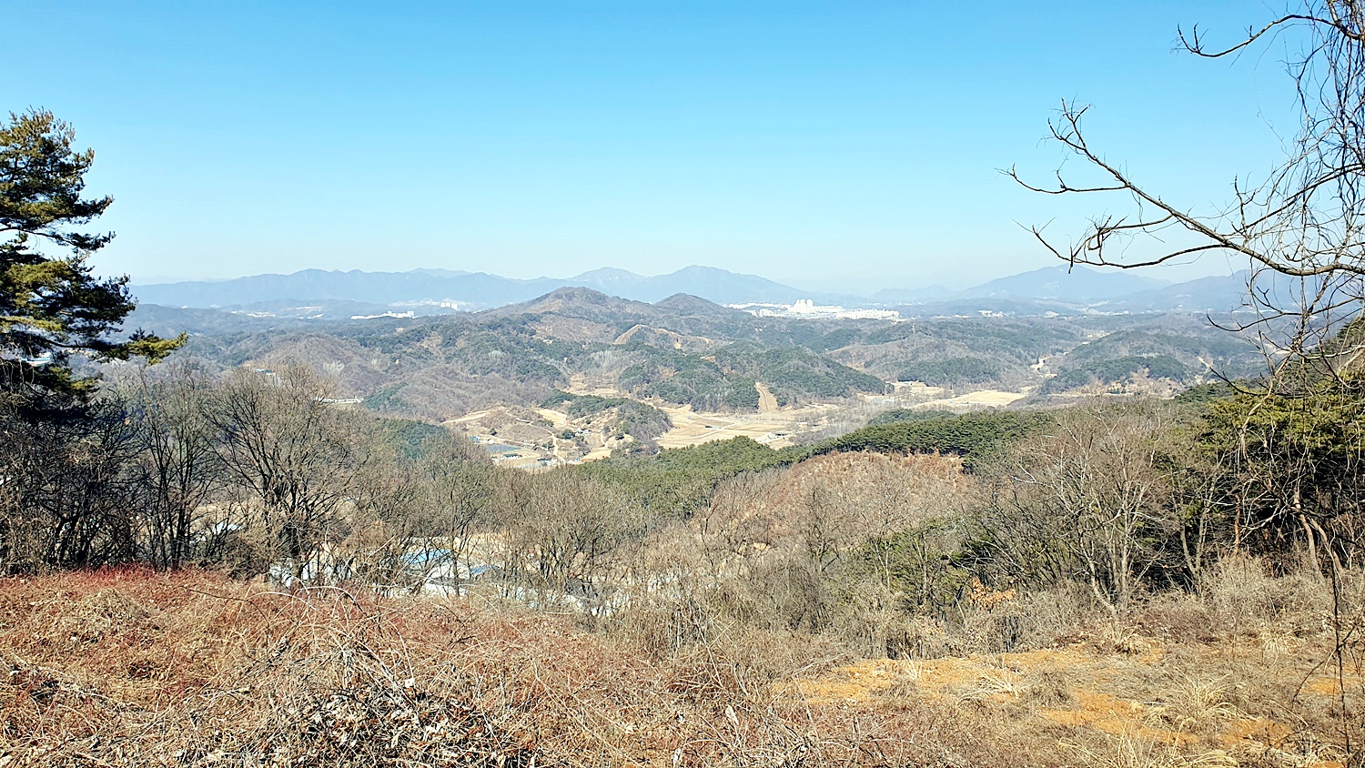 필봉 대장산 △(영월314) 구진산 보인산 (제천) - 정기산행 후기/사진 - 뉴서울마운틴클럽 필봉 대장산 △(영월314) 구진산 보인산 (제천)
