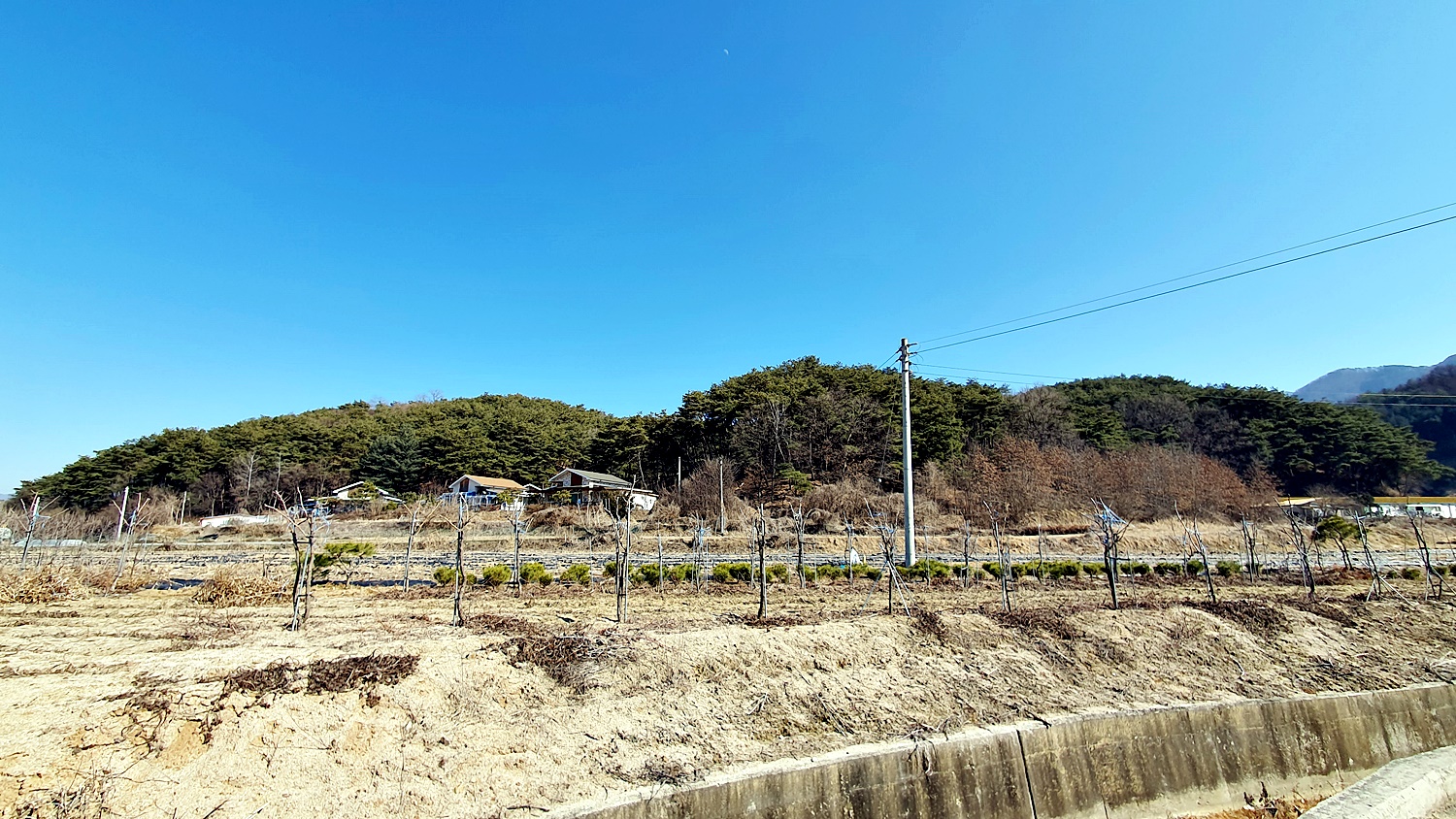 필봉 대장산 △(영월314) 구진산 보인산 (제천) - 정기산행 후기/사진 - 뉴서울마운틴클럽 필봉 대장산 △(영월314) 구진산 보인산 (제천)